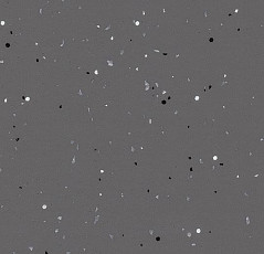 Линолеум Forbo Eternal Material 41252 mercury contrast фото 1 | FLOORDEALER